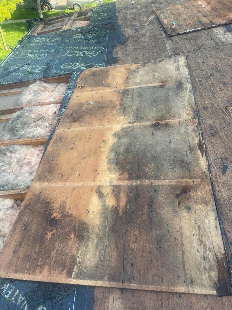 Old and moldy roof decking