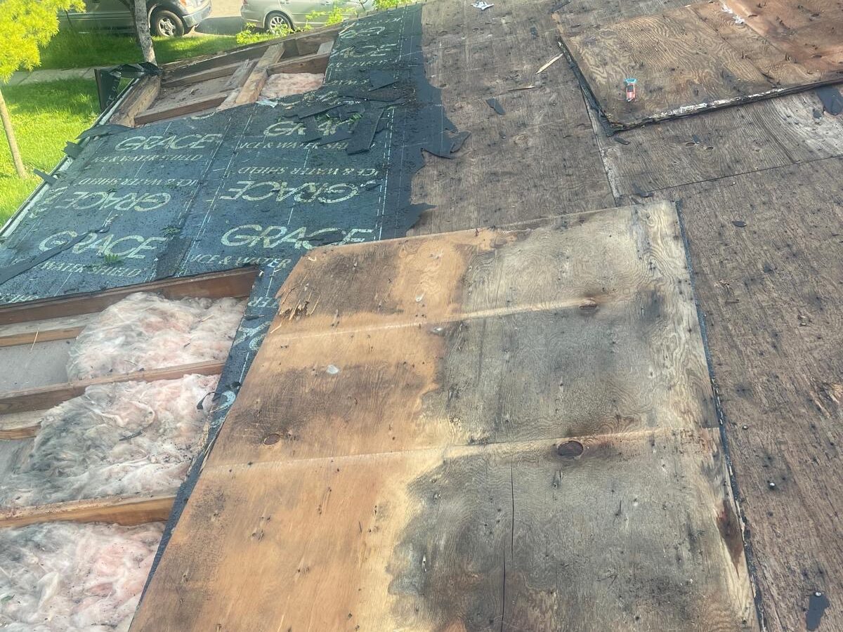 Old and moldy roof decking