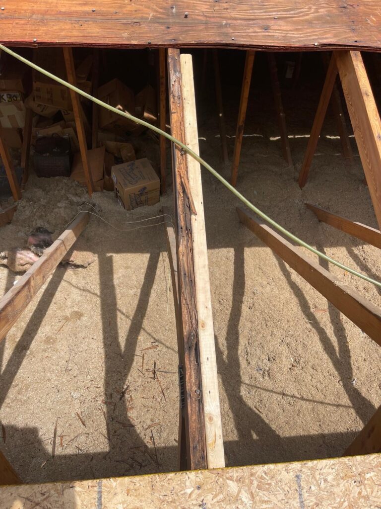 old and rotted roof rafters