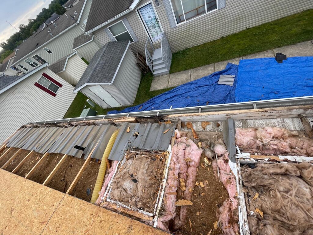 old, moldy, and rotted decking